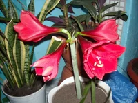 DSCN2708.JPG