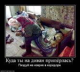 псобаппка.jpg