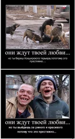  ждут...webp