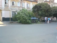 DSC00220.webp