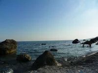 101_1606.webp