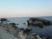 101_1766.jpg