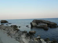 101_1766.webp