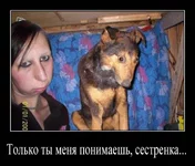 .webp