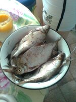Фото0050.jpg