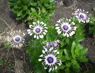.webp