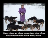 цобачки.jpg