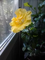 2012-07-23 17.08.54.webp