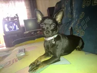 26072012646.jpg