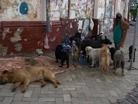 Прикорм1.jpg