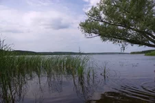 IMGP6065.webp