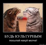 .webp