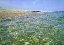 kazantip6.webp