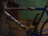 Foto031.webp