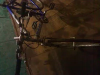 Foto032.webp