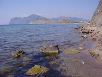  215.webp