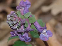 CRW_0023.webp