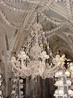 DSC00826.webp