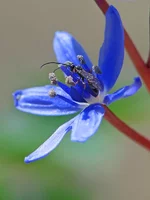 IMG_0190.webp
