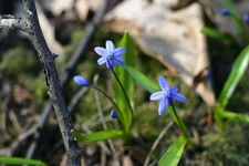 IMG_1906s.webp