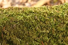IMG_1933s.webp