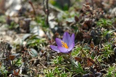 DSC08402.webp