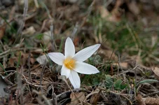 DSC08518.webp