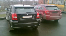 004+.webp