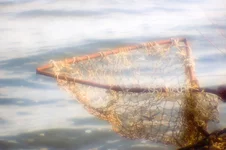 DSC_8956a.webp DSC_8956a.webp