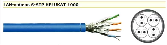 8cat_.webp