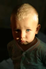 111.webp
