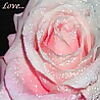 4f3d97f4fee1765f3ed8e81b313a93d0.jpg