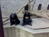05042008304.webp