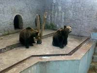 05042008306.webp