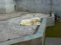 05042008308.webp