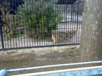 05042008312.webp