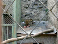 05042008314.webp