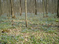 P4050037.webp
