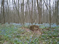 P4050040.webp