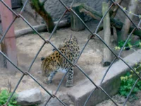 05042008316.webp