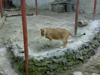 05042008320.webp