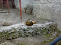 05042008321.webp