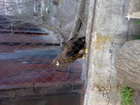 05042008324.webp