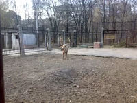 05042008330.webp