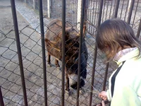 05042008332.webp