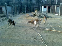 05042008334.webp