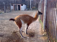 05042008335.webp
