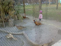 05042008336.webp