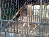 05042008339.webp