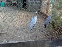 05042008342.webp